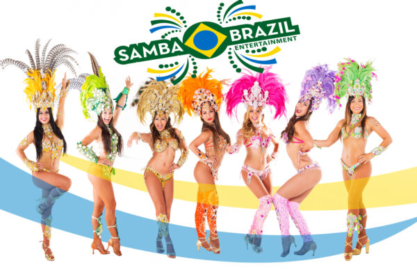 Brazilian Council on SAMBA